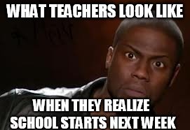 Kevin Hart Meme | WHAT TEACHERS LOOK LIKE WHEN THEY REALIZE SCHOOL STARTS NEXT WEEK | image tagged in memes,kevin hart the hell | made w/ Imgflip meme maker