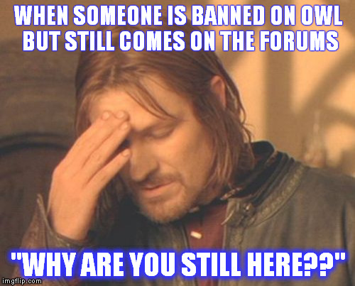 Frustrated Boromir Meme | WHEN SOMEONE IS BANNED ON OWL BUT STILL COMES ON THE FORUMS "WHY ARE YOU STILL HERE??" | image tagged in memes,frustrated boromir | made w/ Imgflip meme maker