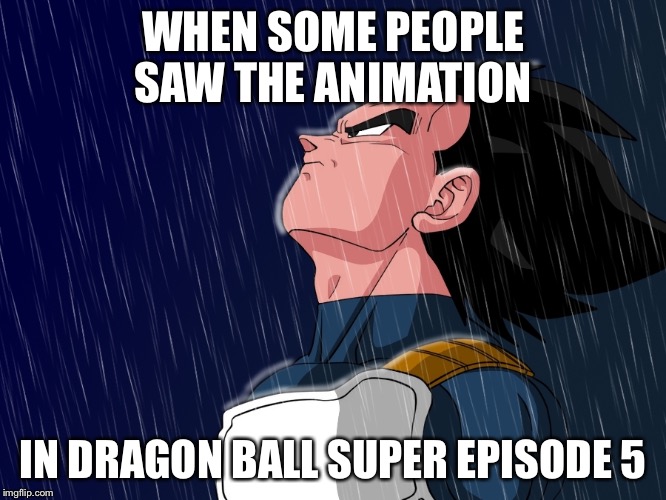 Vegeta | WHEN SOME PEOPLE SAW THE ANIMATION IN DRAGON BALL SUPER EPISODE 5 | image tagged in vegeta,dbz | made w/ Imgflip meme maker