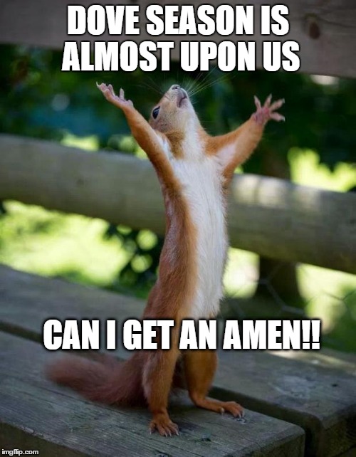 DOVE SEASON IS ALMOST UPON US CAN I GET AN AMEN!! | image tagged in dove season | made w/ Imgflip meme maker