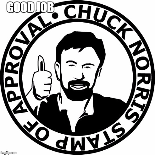 Chuck Norris Stamp Of Approval | GOOD JOB | image tagged in chuck norris stamp of approval | made w/ Imgflip meme maker