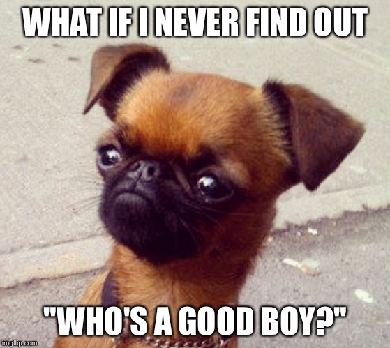 Introspective crumpet | WHAT IF I NEVER FIND OUT "WHO'S A GOOD BOY?" | image tagged in crumpet,memes | made w/ Imgflip meme maker