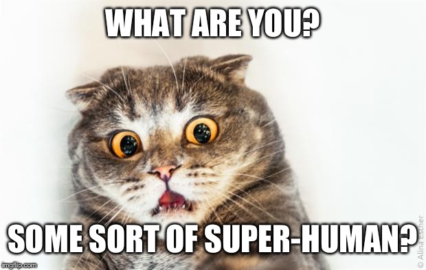 horrified cat | WHAT ARE YOU? SOME SORT OF SUPER-HUMAN? | image tagged in horrified cat | made w/ Imgflip meme maker