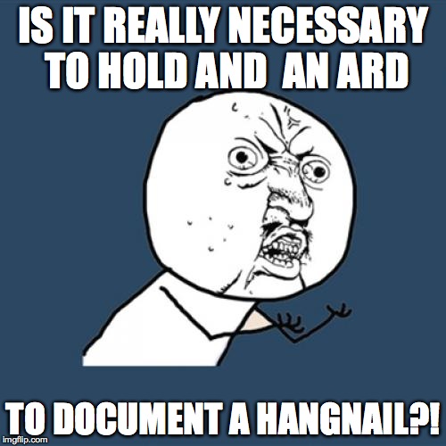 Y U No Meme | IS IT REALLY NECESSARY TO HOLD AND  AN ARD TO DOCUMENT A HANGNAIL?! | image tagged in memes,y u no | made w/ Imgflip meme maker
