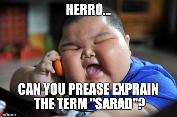 Fat Asian Kid | HERRO... CAN YOU PREASE EXPRAIN THE TERM "SARAD"? | image tagged in fat asian kid | made w/ Imgflip meme maker