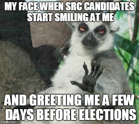 Stoner Lemur Meme | MY FACE WHEN SRC CANDIDATES START SMILING AT ME AND GREETING ME A FEW DAYS BEFORE ELECTIONS | image tagged in memes,stoner lemur | made w/ Imgflip meme maker