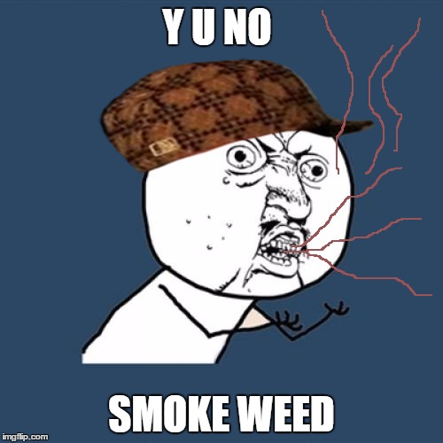 Y U No Meme | Y U NO SMOKE WEED | image tagged in memes,y u no,scumbag | made w/ Imgflip meme maker