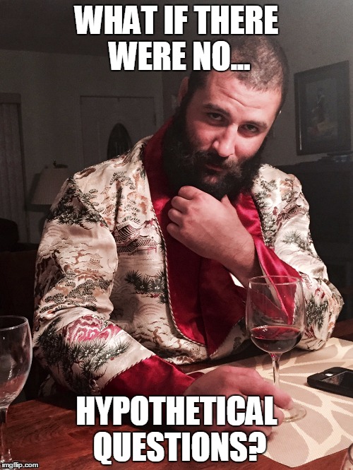 WHAT IF THERE WERE NO... HYPOTHETICAL QUESTIONS? | image tagged in deep thoughts,philosopher,puns,pun | made w/ Imgflip meme maker