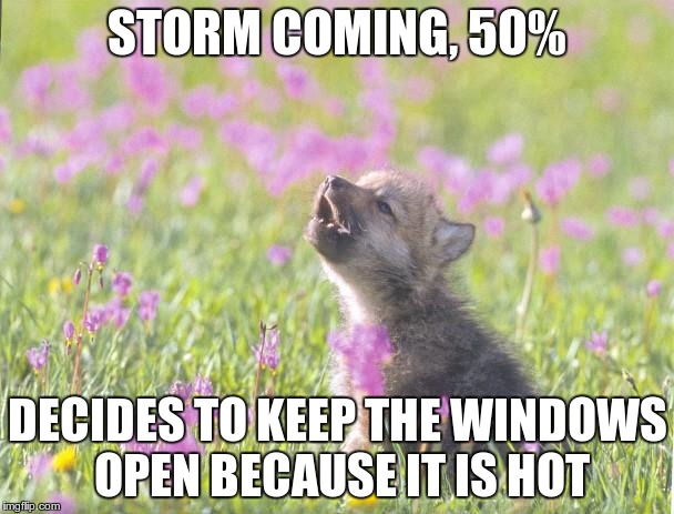 Baby Insanity Wolf | STORM COMING, 50% DECIDES TO KEEP THE WINDOWS OPEN BECAUSE IT IS HOT | image tagged in memes,baby insanity wolf | made w/ Imgflip meme maker