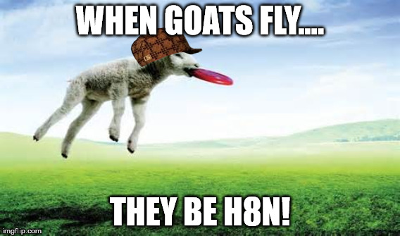 When Goats Fly... | WHEN GOATS FLY.... THEY BE H8N! | image tagged in goats,meme,mlg | made w/ Imgflip meme maker