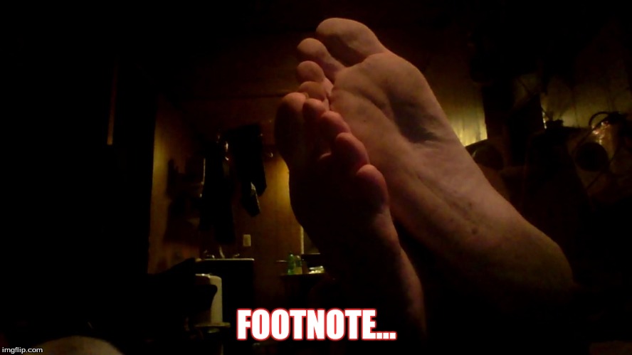 FOOTNOTE... | image tagged in sarcasm | made w/ Imgflip meme maker