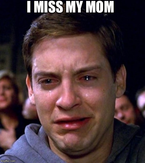 :(  | I MISS MY MOM | image tagged in crying peter parker,i miss my mom,mom,sad,fu ny | made w/ Imgflip meme maker