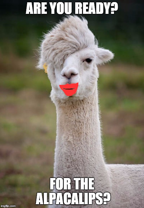 ARE YOU READY? FOR THE ALPACALIPS? | image tagged in apocalypse,alpaca,lips | made w/ Imgflip meme maker