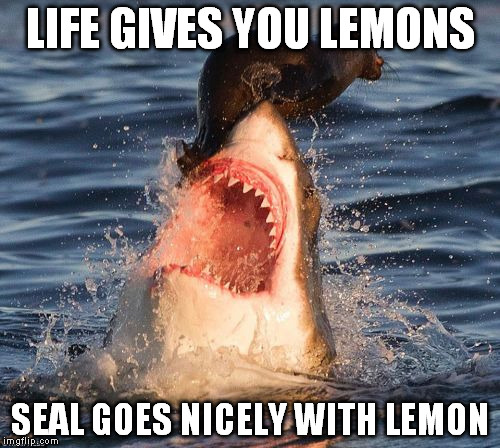 Travelonshark Meme | LIFE GIVES YOU LEMONS SEAL GOES NICELY WITH LEMON | image tagged in memes,travelonshark | made w/ Imgflip meme maker