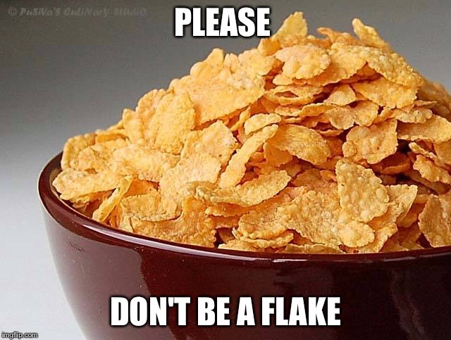 PLEASE DON'T BE A FLAKE | image tagged in don't be a flake | made w/ Imgflip meme maker