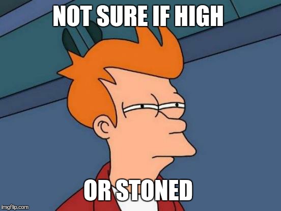 Futurama Fry | NOT SURE IF HIGH OR STONED | image tagged in memes,futurama fry | made w/ Imgflip meme maker