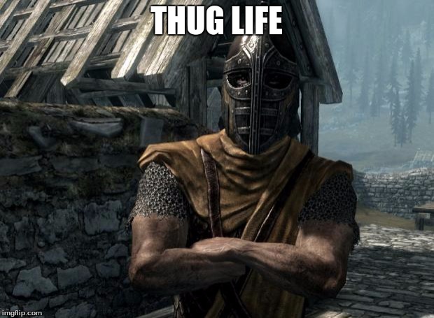 Skyrim guards be like | THUG LIFE | image tagged in skyrim guards be like | made w/ Imgflip meme maker
