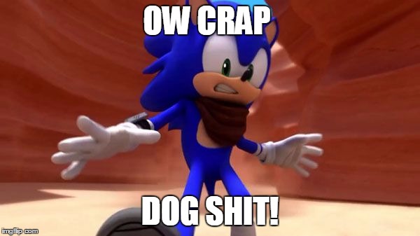 Shit | OW CRAP DOG SHIT! | image tagged in sonic the hedgehog,sonic boom | made w/ Imgflip meme maker
