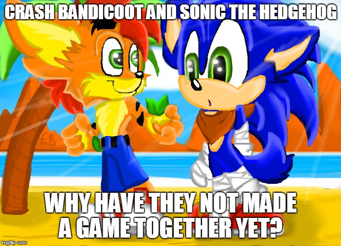 Crash Bandicoot and Sonic why | CRASH BANDICOOT AND SONIC THE HEDGEHOG WHY HAVE THEY NOT MADE A GAME TOGETHER YET? | image tagged in sonic the hedgehog,crash bandicoot | made w/ Imgflip meme maker