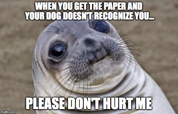 Awkward Moment Sealion Meme | WHEN YOU GET THE PAPER AND YOUR DOG DOESN'T RECOGNIZE YOU... PLEASE DON'T HURT ME | image tagged in memes,awkward moment sealion | made w/ Imgflip meme maker
