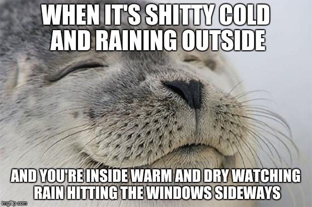 Satisfied Seal Meme | WHEN IT'S SHITTY COLD AND RAINING OUTSIDE AND YOU'RE INSIDE WARM AND DRY WATCHING RAIN HITTING THE WINDOWS SIDEWAYS | image tagged in memes,satisfied seal | made w/ Imgflip meme maker