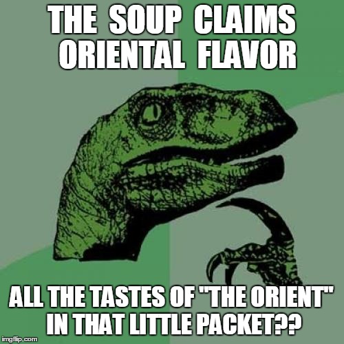 Philosoraptor Meme | THE  SOUP  CLAIMS  ORIENTAL  FLAVOR ALL THE TASTES OF "THE ORIENT" IN THAT LITTLE PACKET?? | image tagged in memes,philosoraptor | made w/ Imgflip meme maker
