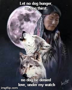 Brother of the Wolf Affiliated Rescue Group | Let no dog hunger, no dog thirst, no dog be denied love,under my watch | image tagged in wolf | made w/ Imgflip meme maker
