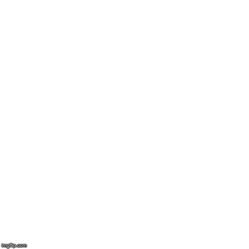 image tagged in funny,pie charts | made w/ Imgflip chart maker