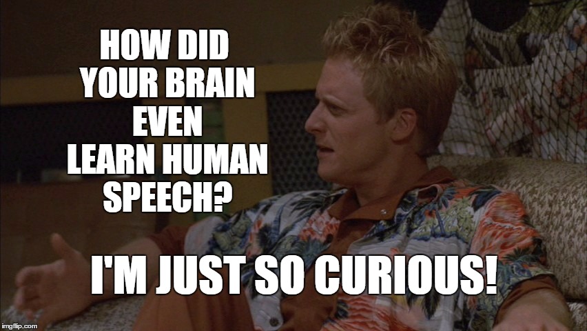 How did you learn human speech? | HOW DID YOUR BRAIN EVEN LEARN HUMAN SPEECH? I'M JUST SO CURIOUS! | image tagged in curious wash,memes,firefly | made w/ Imgflip meme maker