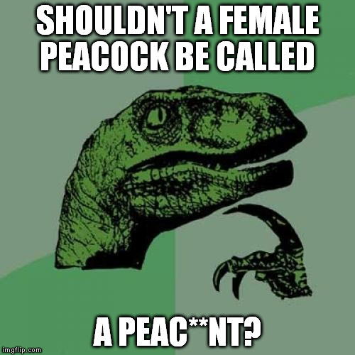 Philosoraptor Meme | SHOULDN'T A FEMALE PEACOCK BE CALLED A PEAC**NT? | image tagged in memes,philosoraptor | made w/ Imgflip meme maker