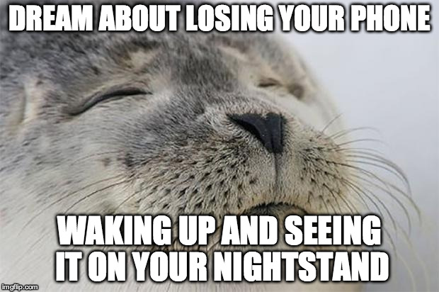 Satisfied Seal Meme | DREAM ABOUT LOSING YOUR PHONE WAKING UP AND SEEING IT ON YOUR NIGHTSTAND | image tagged in memes,satisfied seal | made w/ Imgflip meme maker