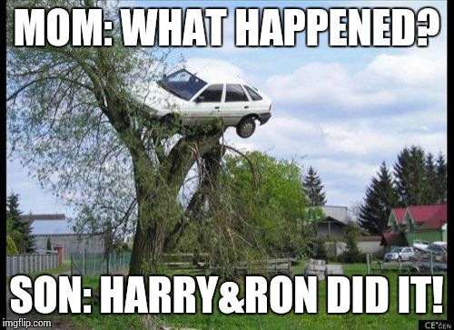 Secure Parking Meme | MOM: WHAT HAPPENED? SON: HARRY&RON DID IT! | image tagged in memes,secure parking | made w/ Imgflip meme maker