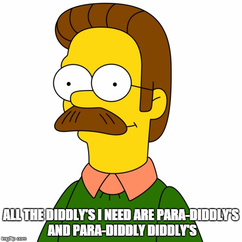 ALL THE DIDDLY'S I NEED ARE PARA-DIDDLY'S AND PARA-DIDDLY DIDDLY'S | image tagged in ned flanders,drums | made w/ Imgflip meme maker