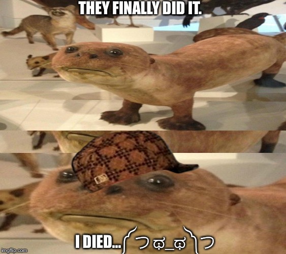 I DIED...༼ つ ಥ_ಥ ༽つ THEY FINALLY DID IT. | image tagged in fail,taxidermy,they,did,it | made w/ Imgflip meme maker