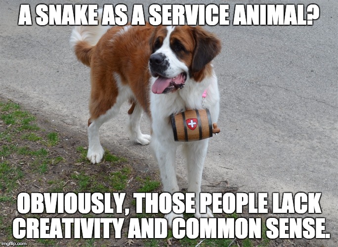 A SNAKE AS A SERVICE ANIMAL? OBVIOUSLY, THOSE PEOPLE LACK CREATIVITY AND COMMON SENSE. | image tagged in st bernard with cognac barrel | made w/ Imgflip meme maker