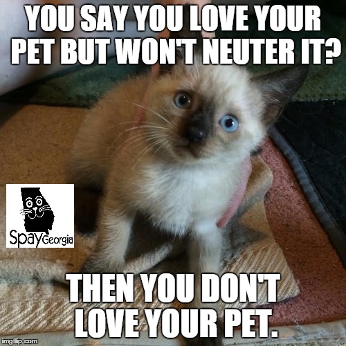 YOU SAY YOU LOVE YOUR PET BUT WON'T NEUTER IT? THEN YOU DON'T LOVE YOUR PET. | image tagged in flynn spay neuter | made w/ Imgflip meme maker