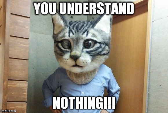 You Understand Nothing!!! (catface) | YOU UNDERSTAND NOTHING!!! | image tagged in cat,cat-face,cat face,fuzzy face,you understand nothing | made w/ Imgflip meme maker