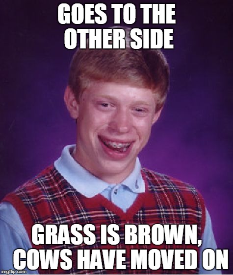 they say grass might be greener on the other side | GOES TO THE OTHER SIDE GRASS IS BROWN,  COWS HAVE MOVED ON | image tagged in memes,bad luck brian | made w/ Imgflip meme maker