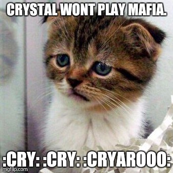 CRYSTAL WONT PLAY MAFIA. :CRY: :CRY: :CRYAROOO: | made w/ Imgflip meme maker