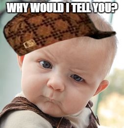 Skeptical Baby Meme | WHY WOULD I TELL YOU? | image tagged in memes,skeptical baby,scumbag | made w/ Imgflip meme maker