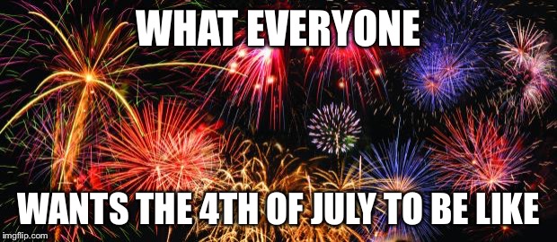 Colorful Fireworks | WHAT EVERYONE WANTS THE 4TH OF JULY TO BE LIKE | image tagged in colorful fireworks | made w/ Imgflip meme maker
