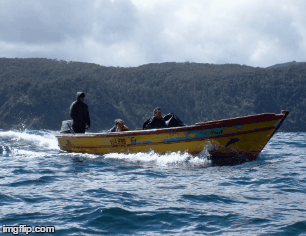 image tagged in gifs | made w/ Imgflip images-to-gif maker