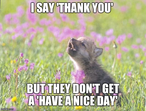 Baby Insanity Wolf Meme | I SAY 'THANK YOU' BUT THEY DON'T GET A 'HAVE A NICE DAY' | image tagged in memes,baby insanity wolf,AdviceAnimals | made w/ Imgflip meme maker
