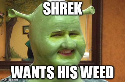 He does | SHREK WANTS HIS WEED | image tagged in memes,shrek,ogre,weed | made w/ Imgflip meme maker
