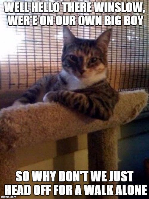 cats | WELL HELLO THERE WINSLOW, WER'E ON OUR OWN BIG BOY SO WHY DON'T WE JUST HEAD OFF FOR A WALK ALONE | image tagged in cats | made w/ Imgflip meme maker