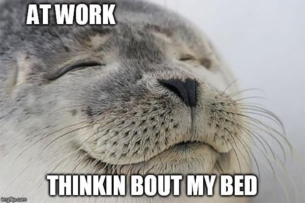 Satisfied Seal | AT WORK THINKIN BOUT MY BED | image tagged in memes,satisfied seal | made w/ Imgflip meme maker