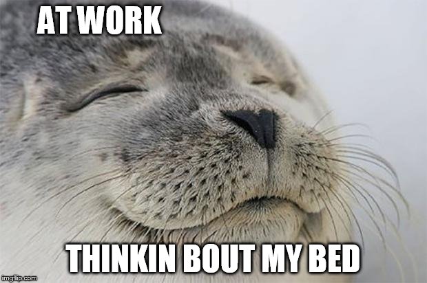 Satisfied Seal Meme | AT WORK THINKIN BOUT MY BED | image tagged in memes,satisfied seal | made w/ Imgflip meme maker