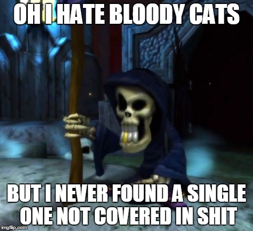 OH I HATE BLOODY CATS BUT I NEVER FOUND A SINGLE ONE NOT COVERED IN SHIT | image tagged in death jokes with gregg the grim reaper | made w/ Imgflip meme maker