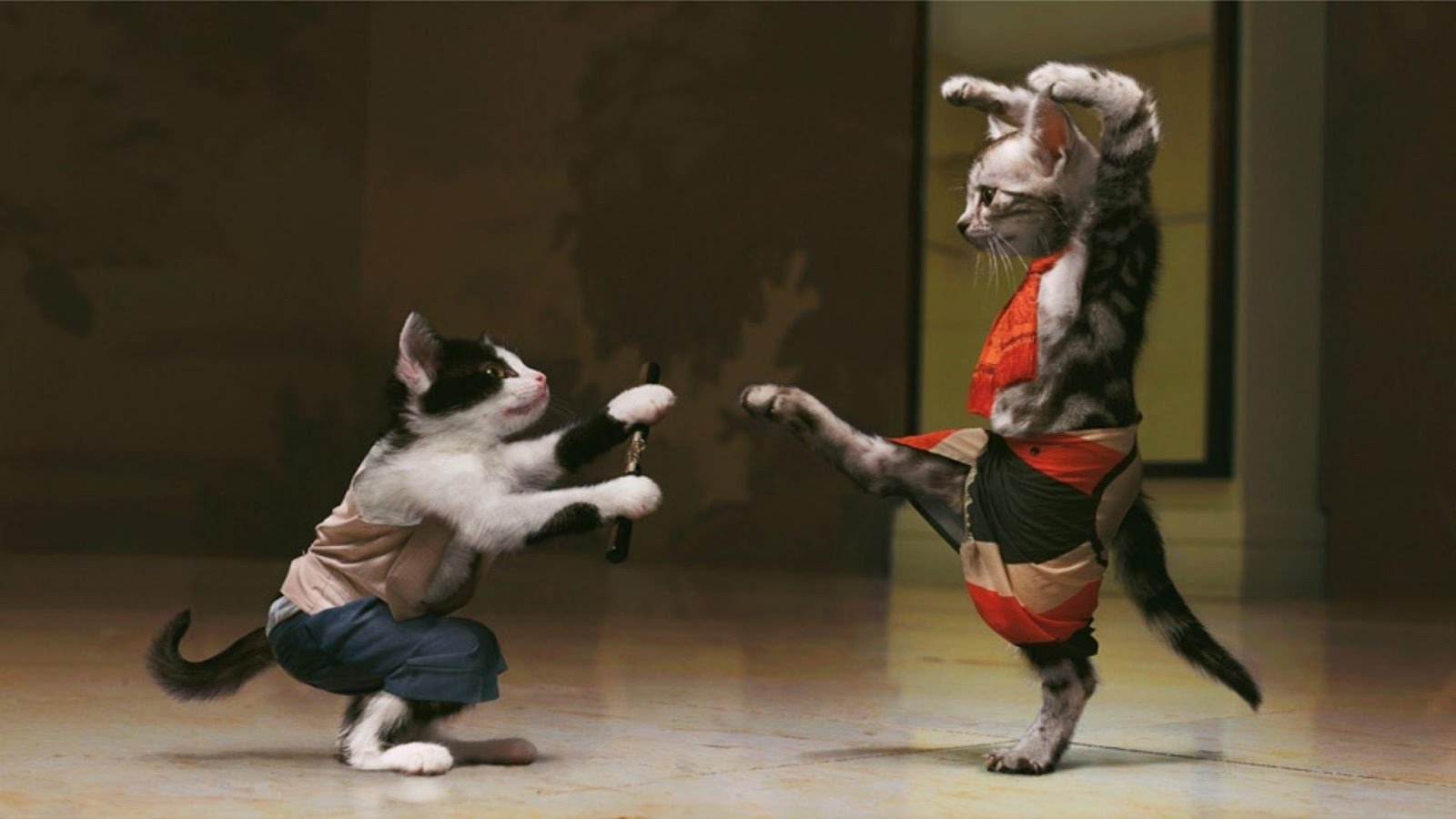 Kung Fu Cats Blank Meme Template