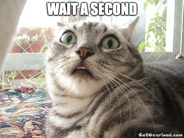 WAIT A SECOND | made w/ Imgflip meme maker